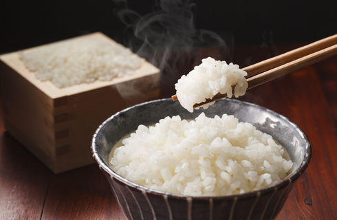 ご飯